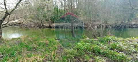 Quinta  Venda em Silgueiros,Viseu