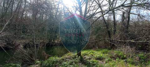 Quinta  Venda em Silgueiros,Viseu