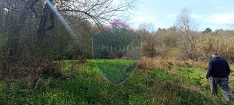 Quinta  Venda em Silgueiros,Viseu