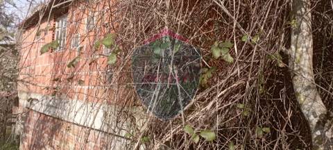 Quinta  Venda em Silgueiros,Viseu