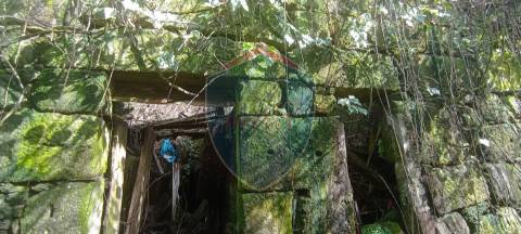 Quinta  Venda em Silgueiros,Viseu