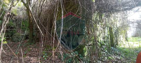 Quinta  Venda em Silgueiros,Viseu