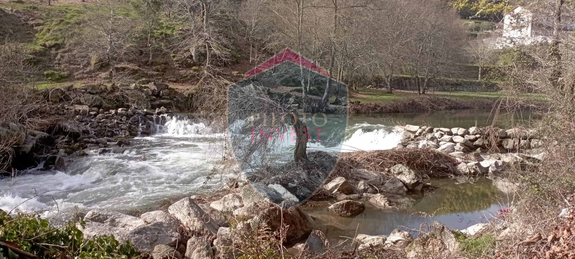 Quinta  Venda em Silgueiros,Viseu