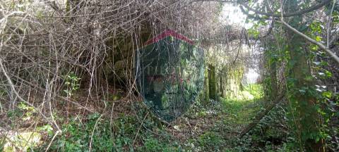 Quinta  Venda em Silgueiros,Viseu