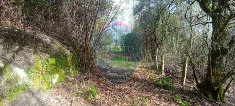 Quinta  Venda em Silgueiros,Viseu