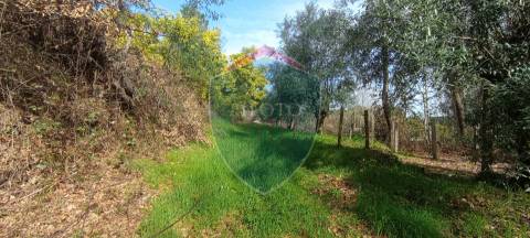 Quinta  Venda em Silgueiros,Viseu