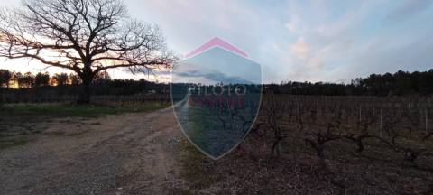 Quinta  Venda em Sezures,Penalva do Castelo