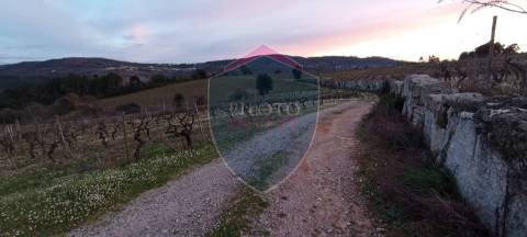 Quinta  Venda em Sezures,Penalva do Castelo