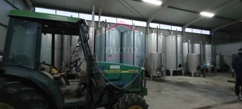 Quinta  Venda em Sezures,Penalva do Castelo