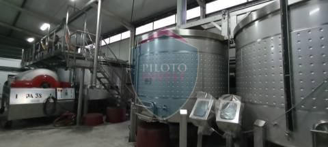 Quinta  Venda em Sezures,Penalva do Castelo