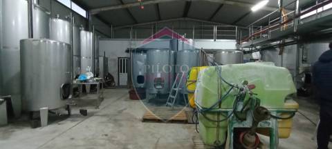 Quinta  Venda em Sezures,Penalva do Castelo