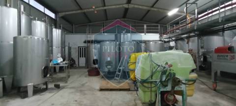 Quinta  Venda em Sezures,Penalva do Castelo