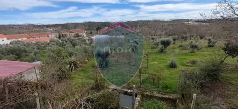 Moradia Isolada T3 Venda em Eirado,Aguiar da Beira