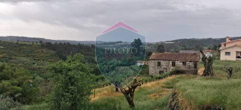 Terreno Para Construção  Venda em Santos Evos,Viseu