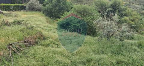 Terreno Para Construção  Venda em Santos Evos,Viseu