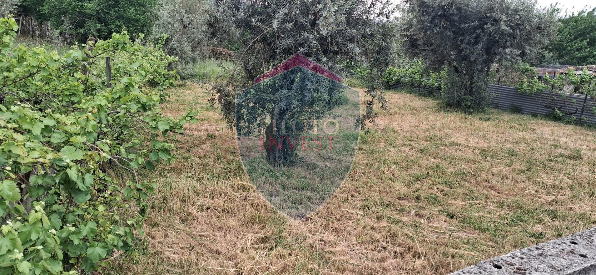 Terreno Para Construção  Venda em Santos Evos,Viseu