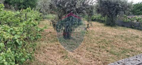 Terreno Para Construção  Venda em Santos Evos,Viseu