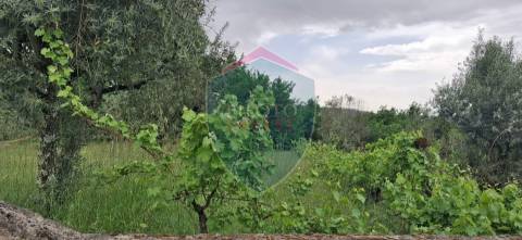 Terreno Para Construção  Venda em Santos Evos,Viseu