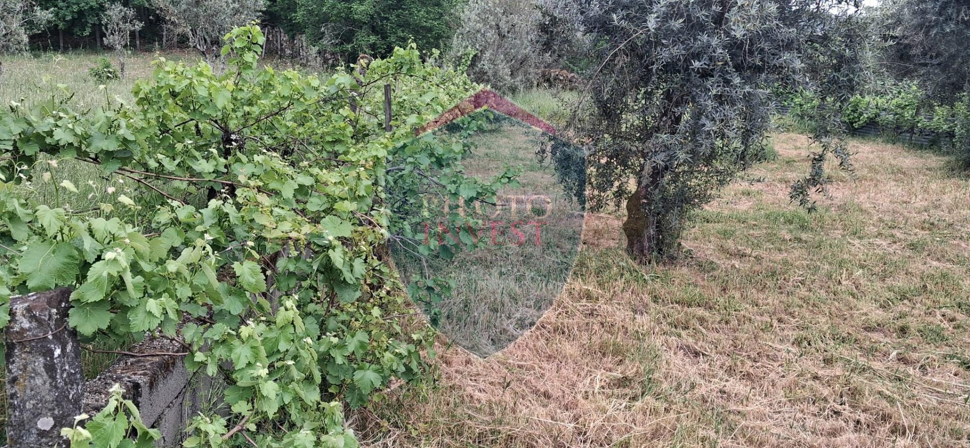 Terreno Para Construção  Venda em Santos Evos,Viseu