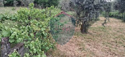 Terreno Para Construção  Venda em Santos Evos,Viseu
