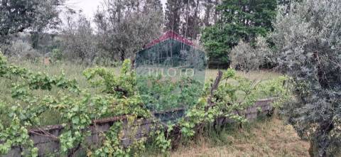 Terreno Para Construção  Venda em Santos Evos,Viseu