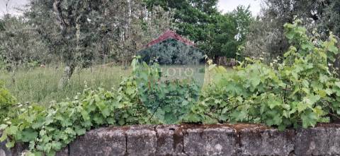 Terreno Para Construção  Venda em Santos Evos,Viseu