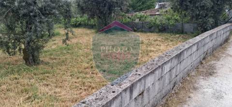 Terreno Para Construção  Venda em Santos Evos,Viseu