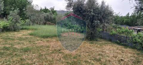 Terreno Para Construção  Venda em Santos Evos,Viseu