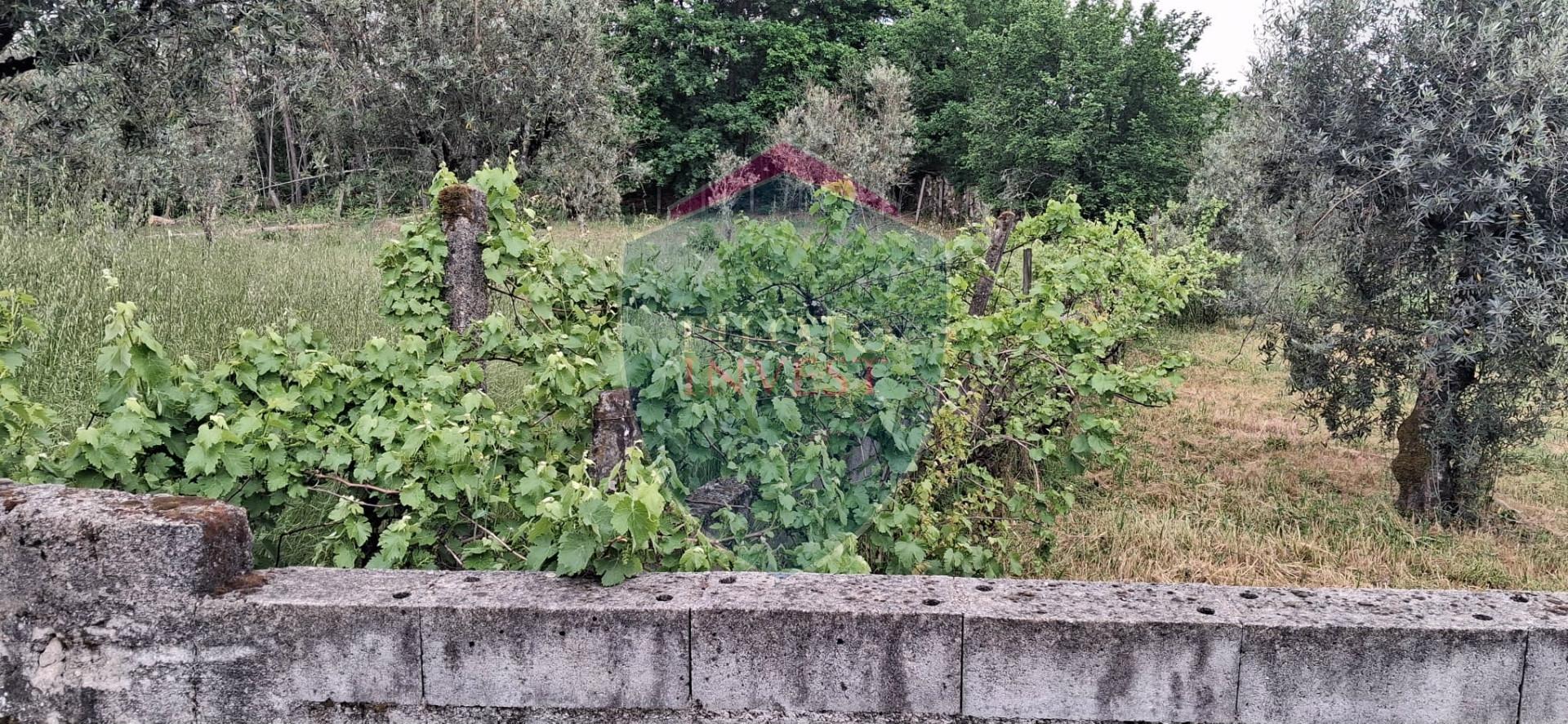 Terreno Para Construção  Venda em Santos Evos,Viseu