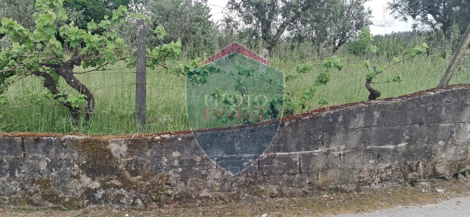 Terreno Para Construção  Venda em Santos Evos,Viseu