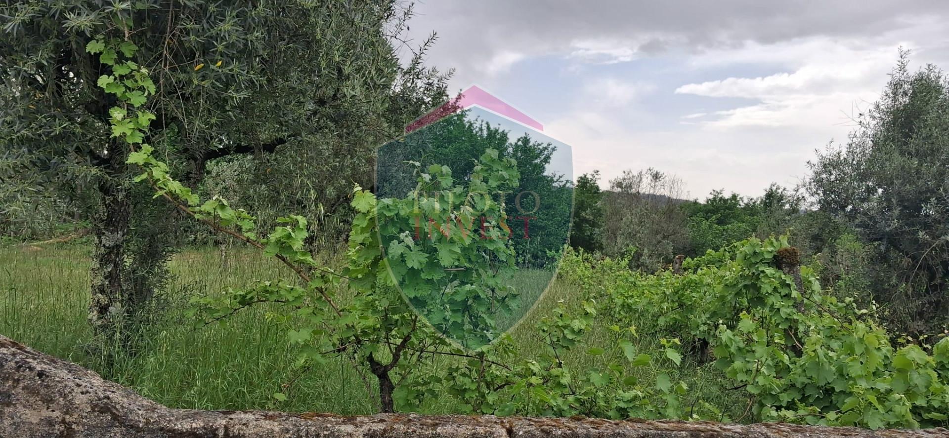 Terreno Para Construção  Venda em Santos Evos,Viseu