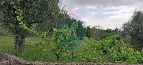 Terreno Para Construção  Venda em Santos Evos,Viseu