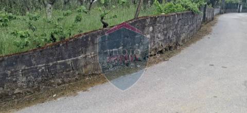 Terreno Para Construção  Venda em Santos Evos,Viseu