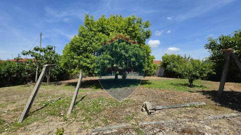 Moradia Isolada T3 Venda em Rio de Loba,Viseu