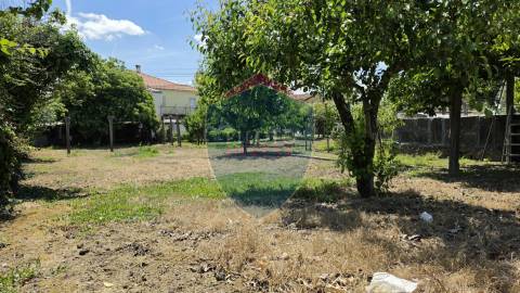 Moradia Isolada T3 Venda em Rio de Loba,Viseu