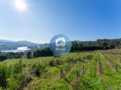 Quinta  Venda em Abragão,Penafiel