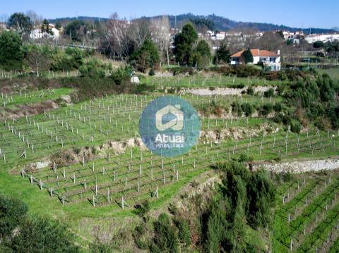 Quinta  Venda em Abragão,Penafiel