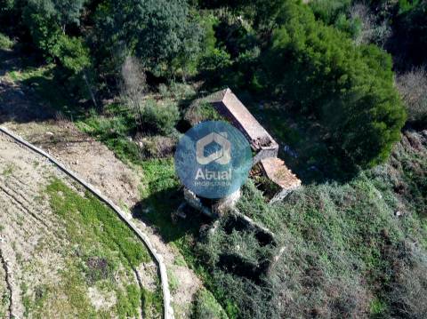 Quinta  Venda em Abragão,Penafiel