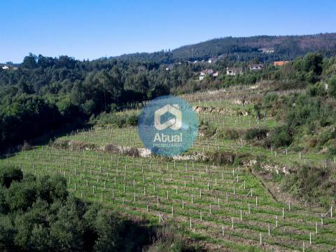 Quinta  Venda em Abragão,Penafiel