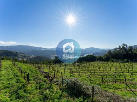 Quinta  Venda em Abragão,Penafiel