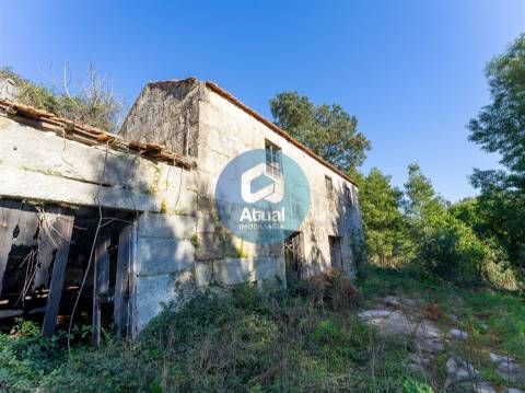 Quinta  Venda em Abragão,Penafiel