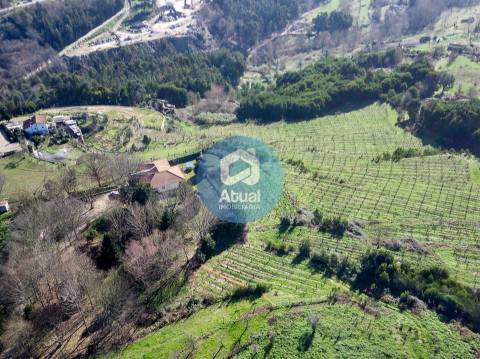 Quinta  Venda em Abragão,Penafiel