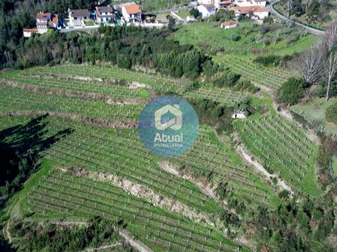 Quinta  Venda em Abragão,Penafiel