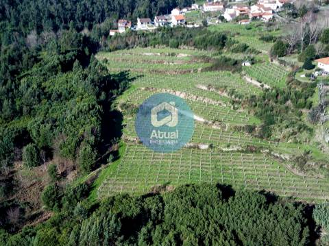 Quinta  Venda em Abragão,Penafiel