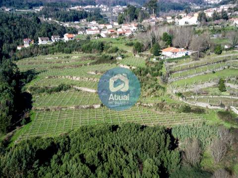 Quinta  Venda em Abragão,Penafiel