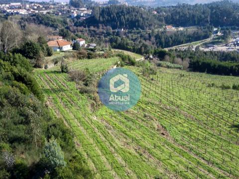 Quinta  Venda em Abragão,Penafiel