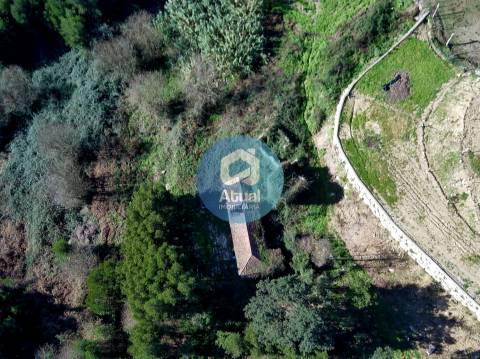 Quinta  Venda em Abragão,Penafiel