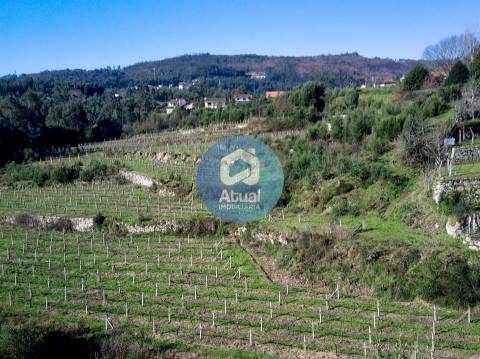 Quinta  Venda em Abragão,Penafiel