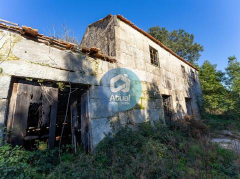 Quinta  Venda em Abragão,Penafiel