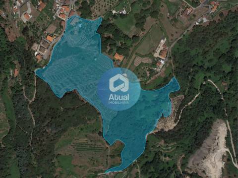 Quinta  Venda em Abragão,Penafiel